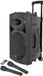 QTX QR12PA enceinte PA portable 12 pouce sur batterie avec 2 microphones UHF et lecteur multimédia