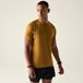 Dare 2b Persist heren sportshirt Groen Korte mouw