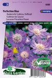 Sluis Garden Duifkruid Perfection Blue (Scabiosa)