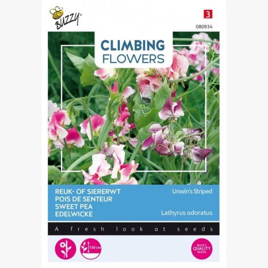 Buzzy Flowering Climbers Lathyrus Unwin's Striped Bloemzaad