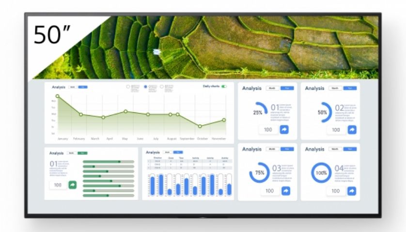 Sony FW-50BZ30L / Digital Signage screen / 50 / 2023