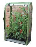 Haxnicks Tomaat Crop-Booster Poly Cover | B 100cm x H 160cm x D 50cm | FRAME220101
