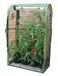 Haxnicks Tomaat Crop-Booster Poly Cover | B 100cm x H 160cm x D 50cm | FRAME220101