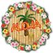 Bellatio Decorations Hawaii onderzetters/bierviltjes - 25 stuks