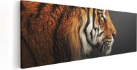 Artaza Canvas Schilderij Tijgerkop - 60x20 cm - Foto Op Canvas - Multicolor