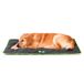 FERPLAST Hondenmat Jolly 98 x 65 CM Zwart