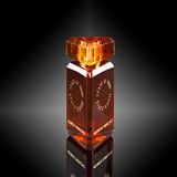 State Of Mind Eau de Parfum / 100ml / Unisex