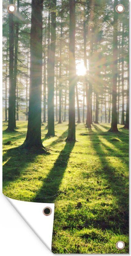 GreatGardenPosters Tuinposter - Bos - 40x80 cm - Buitenposter