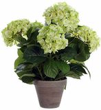 Mica Decorations Hortensia creme in pot stan grijs d13,5 - 45 x 45 cm