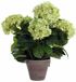 Mica Decorations Hortensia creme in pot stan grijs d13,5 - 45 x 45 cm