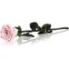 RoseAmor Pink Preserved Flowers 1 pc