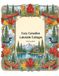 Cozy Canadian Lakeside Cottages Colouring Book