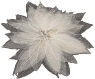 Lobbes Magnolia Bladskeletten Créatif Bricolage 50 Pièces