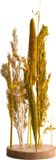 Dijk Natural Collections Droogbloemen op hout Ø15x30cm Oker