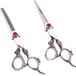 Achilles® Hell Dragon Kappersschaar Set - Complete Kappersset - Hair Scissors - Coupeschaar