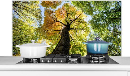 KitchenYeah Spatscherm keuken 120x60 cm - Kookplaat achterwand Boom - Natuur - Bos - Muurbeschermer - Spatwand fornuis - Hoogwaardig aluminium