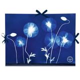 Clairefontaine 83513C – Cyanotype, tekenkarton, 28 x 38 cm, sluiting met 3 linten