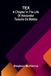 Tex: A chapter in the life of Alexander Teixeira de Mattos Paperback