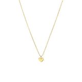 Lucardi Dames Stalen goldplated ketting met hart - Ketting - Staal - Goudkleurig - 47 cm