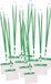 Merkloos Badgehouders - 10x - groen - 11,2 x 58 cm - kunststof/plastic - keycord - naamkaarthouders - beurs