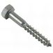 Fixtout - Tirefond Bois Tête Hexagonale 6 x 60 mm Inox A2 - Boîte de 100 pcs TIR06060A2