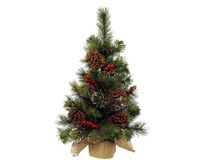 Everlands Ipswich mini boom d45h75 cm groen/wit