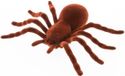 Chaks Nep Spin 18 cm - Bruin - Velvet/Fluweel Tarantula - Horror/Griezel Thema Decoratie Beestjes