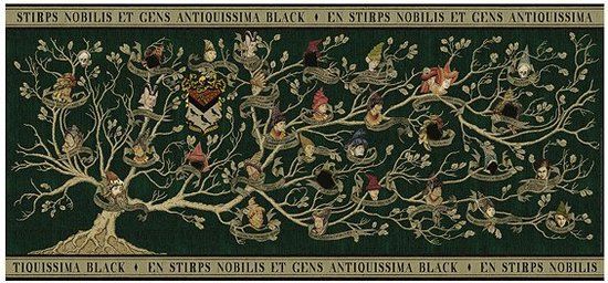 Ravensburger Harry Potter Stamboom Panorama Puzzel - 2000 stukjes