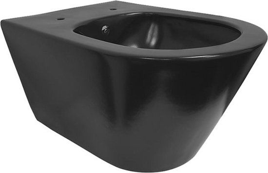 Wiesbaden Luxe Rimless Wall-Hung Toilet 53 cm with Bidet Function - Matte Black