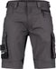 Dassy Cosmic Werkshort