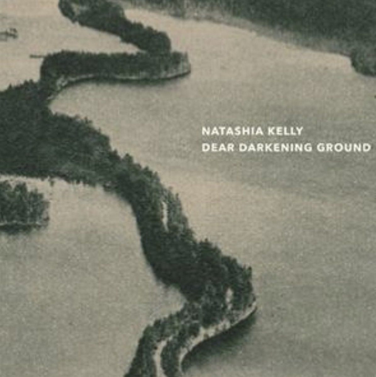 PIAS Nederland Natashia Kelly - Dear Darkening Ground (CD)