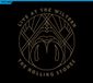 Universal Music The Rolling Stones - Live At The Wiltern (Blu-ray) 2 CD