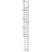 ALTREX Everest ladder met veiligheidskooi