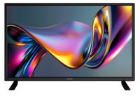 Dyon Enter 24 Pro X2 / HD LED / 24 inch / 2022