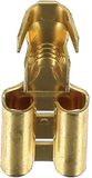 Platte Restagraf Platte kabelschoen, vrouwelijk, 9,5 x 12 mm (2,6 tot 6 mm²) (verpakking van 30 stuks), messing