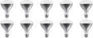 Asalite Infrarood Warmtelamp R125 E27 - 150W - 125mm - Helder Glas - 10 stuks