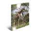 HERMA Giraffe verzamelmappen, A4-set, 3 stuks, hoekspanner-mappen voor kinderen van kunststof met diermotief, hoogglans-look, elastiek, binnenflappen en binnenprint voor jongens en meisjes
