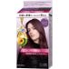Syoss Colorgenic Coloration Capillaire LA04 Améthyste Cendré