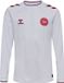 Hummel Dbu Woman 25 Away Jersey L/S Kids