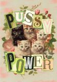 Marie-Chantal Puzzle 1000 pièces force des chats - puzzle