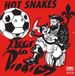 Konkurrent Hot Snakes - Audit In Progress (CD)