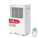 VINO 12 L Déshumidificateur Intelligent, Contrôle WiFi, R290, 3 Modes, Économe en Énergie, 1,8 L Réservoir