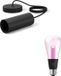 Philips Hue Lightguide Hanglamp (Zwart) - E27 - Wit en Gekleurd Licht - Incl. 1 Hue Lightguide Edisson Lamp Groot (ST72)