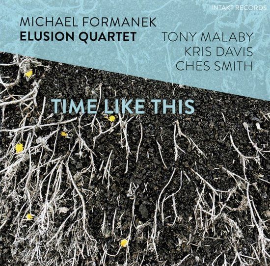 Time Michael Formanek Elusion Quartet - Time Like This (CD)
