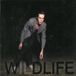 Wildlife The Icarus Line Wildlife (2 LP)