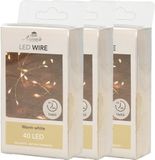 Anna's Collection Draadverlichting - 40 LED lampjes - Goud - Warm Wit - 200 cm - Batterij