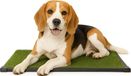 Badmat voor puppy's en kleine huisdieren, draagbare toilettrainer voor binnen en buiten