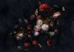 Komar Colours Fotobehang Amsterdam Flowers - 350 x 250 CM