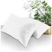 GC GAVENO CAVAILIA Huisvrouw kussenslopen 2 Pack