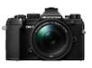 Olympus OM SYSTEM OM-5 - MILC - 20.4 MP - 4/3" - Zwart